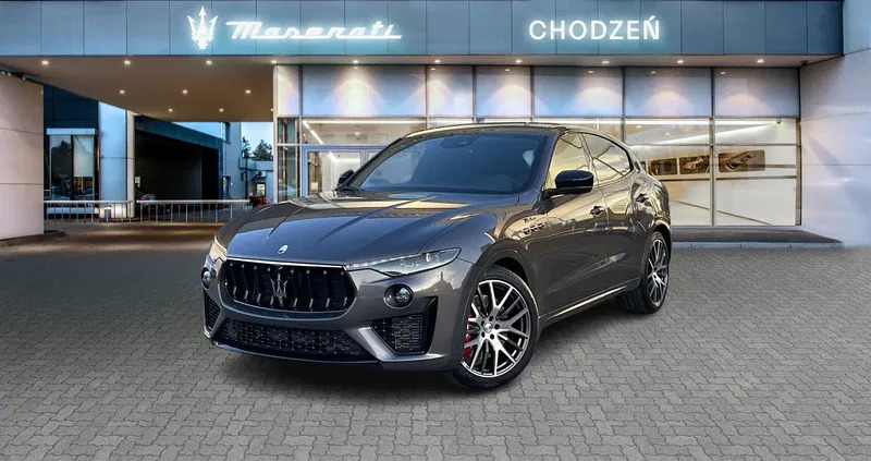 maserati mazowieckie Maserati Levante cena 185659 przebieg: 8, rok produkcji 2024 z Prabuty